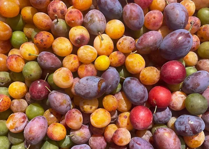 Villa Causette Normandie Crasville-la-Rocquefort