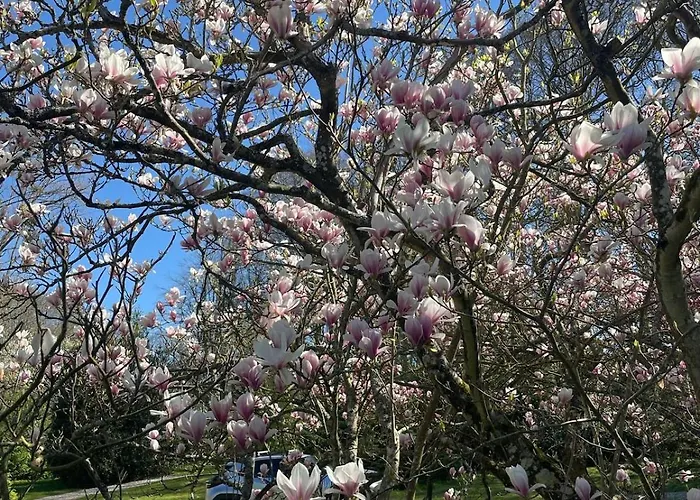 Causette Normandie * Crasville-la-Rocquefort